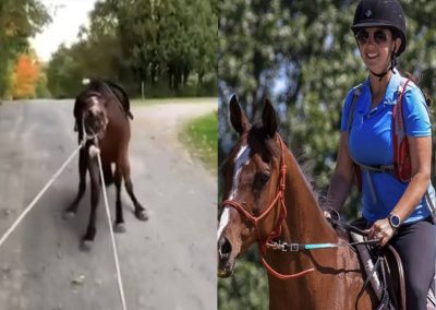 زن 23 ساله انتاریویی پس از پخش ویدیوی گرافیکی از کشیدن اسب متهم شد