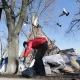 شهرداری تورنتو قصد دارد کمپ بی خانمان ها در نزدیک بازار کنزینگتون را جمع کند